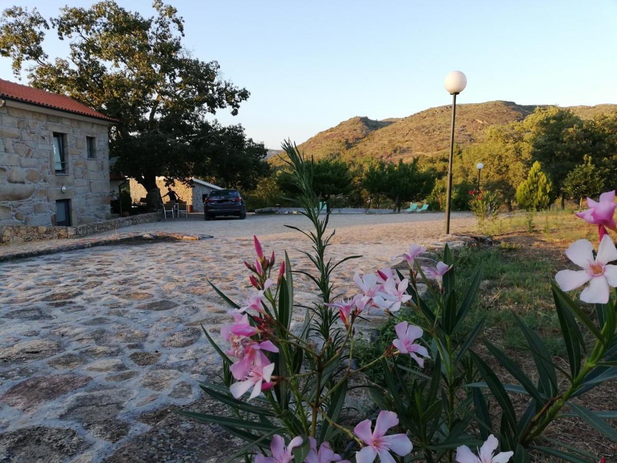 Quinta Dos Carvalhais - Serra Da Estrela Fornos de Algodres Exterior foto