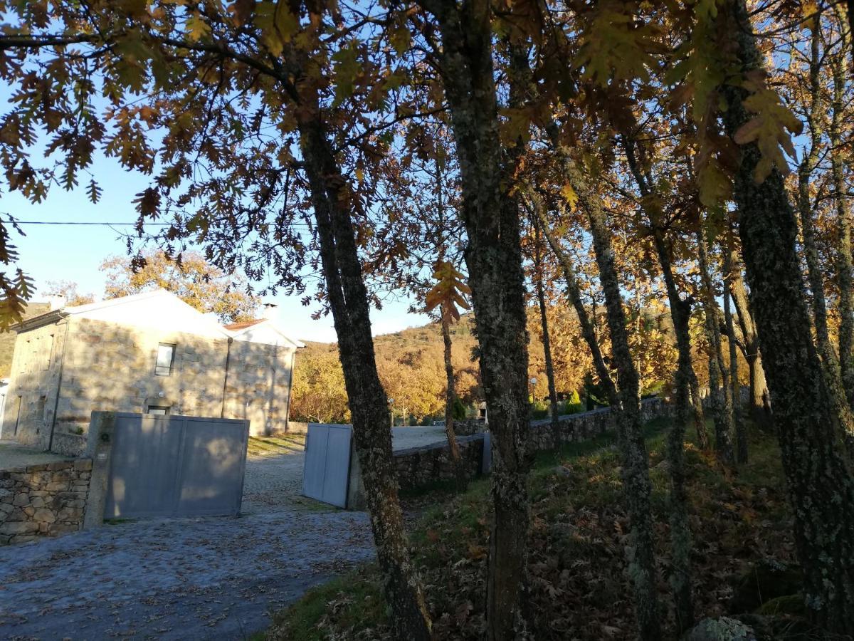 Quinta Dos Carvalhais - Serra Da Estrela Fornos de Algodres Exterior foto