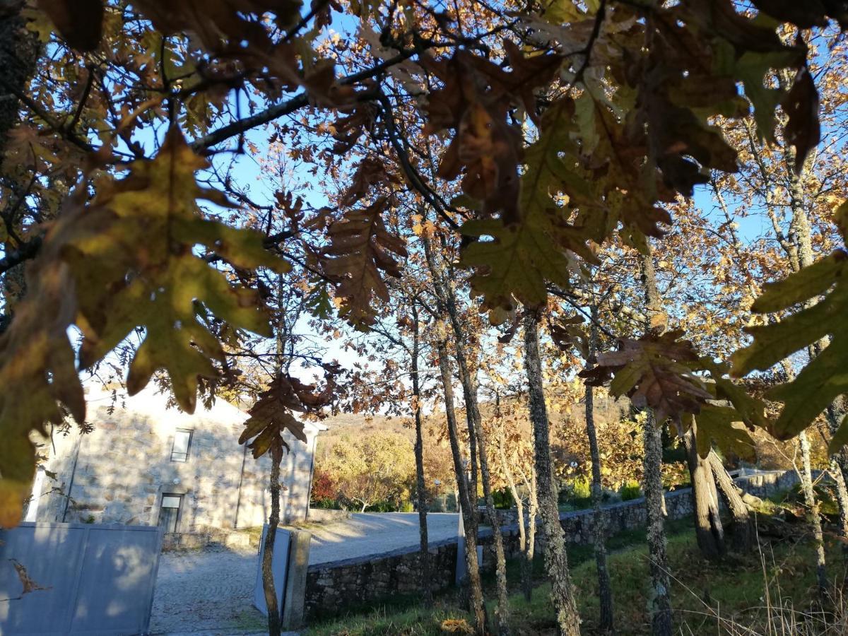 Quinta Dos Carvalhais - Serra Da Estrela Fornos de Algodres Exterior foto