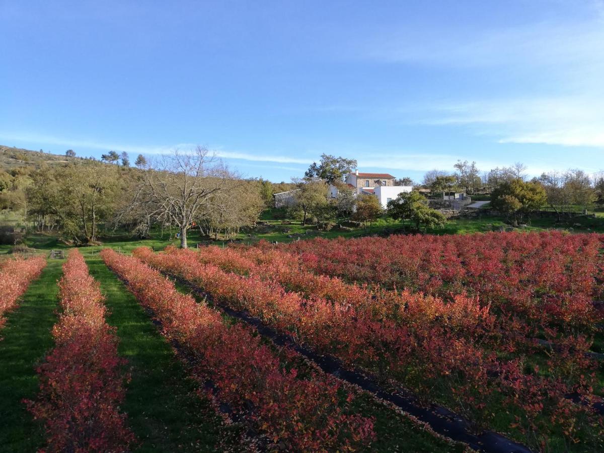 Quinta Dos Carvalhais - Serra Da Estrela Fornos de Algodres Exterior foto