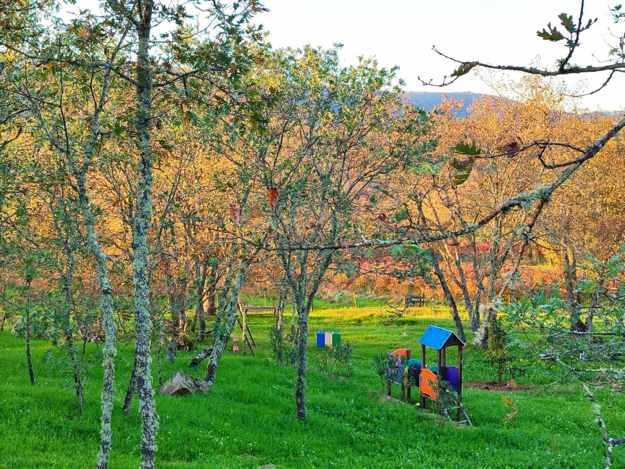 Quinta Dos Carvalhais - Serra Da Estrela Fornos de Algodres Exterior foto