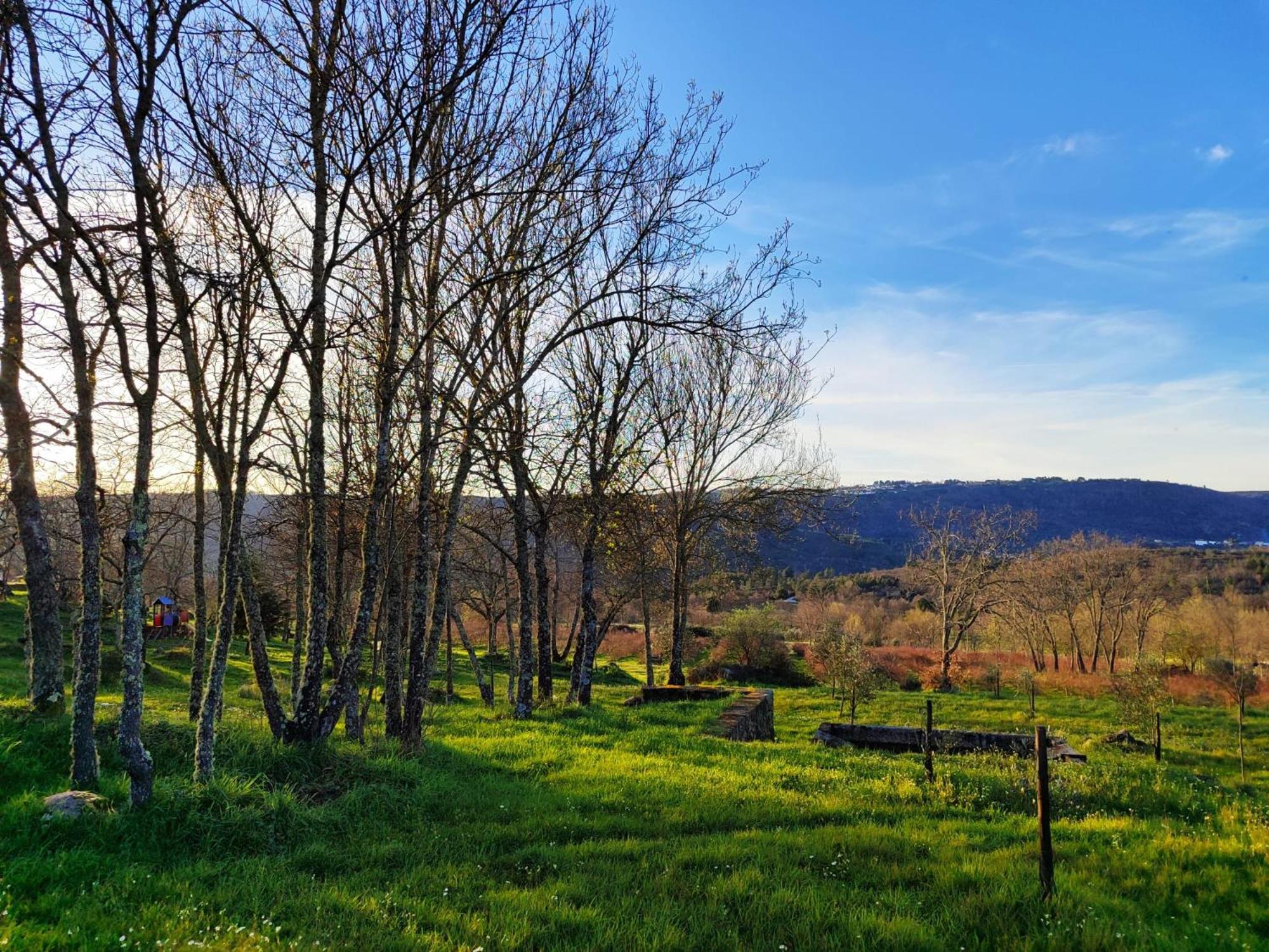 Quinta Dos Carvalhais - Serra Da Estrela Fornos de Algodres Exterior foto