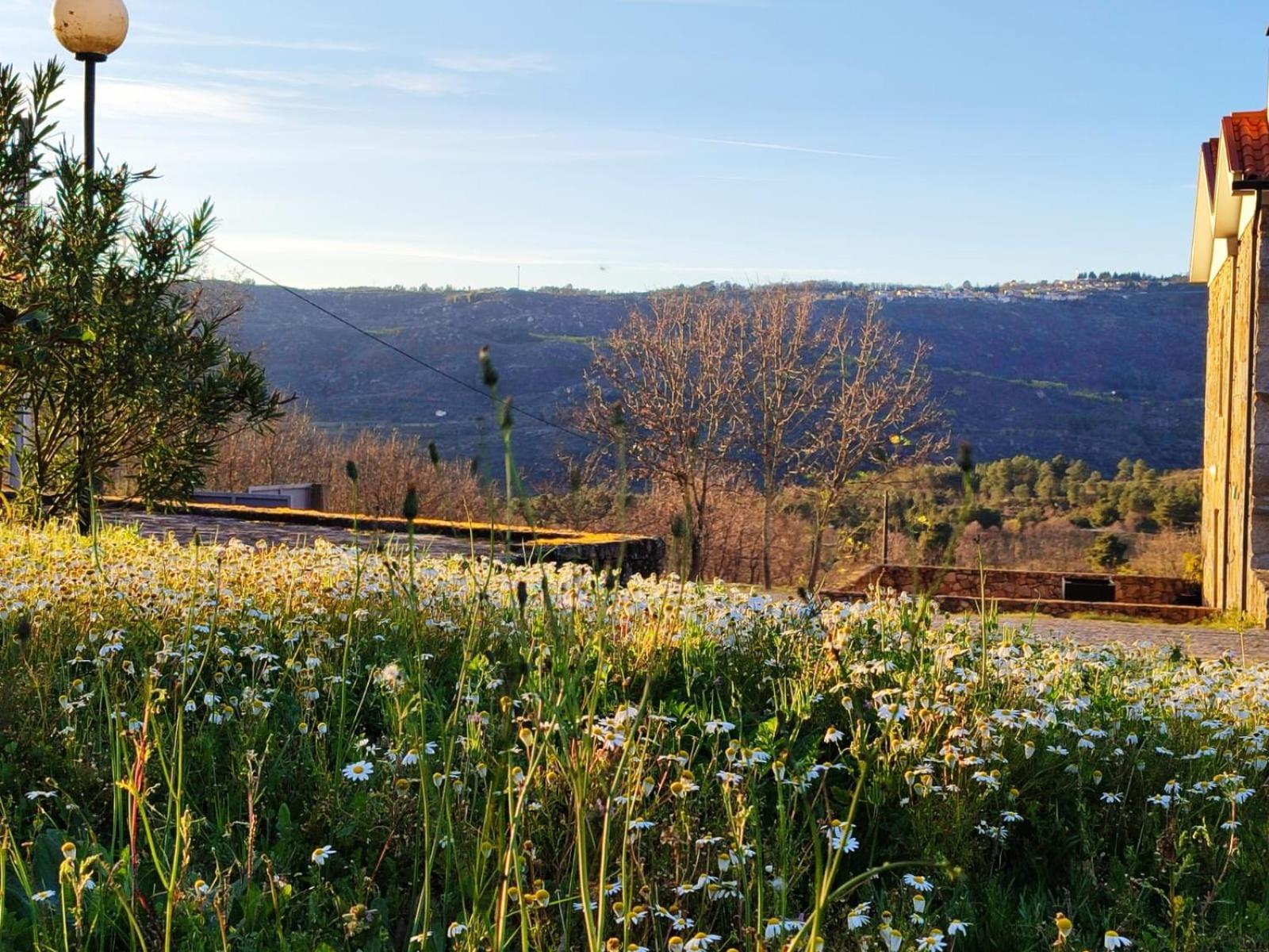 Quinta Dos Carvalhais - Serra Da Estrela Fornos de Algodres Exterior foto