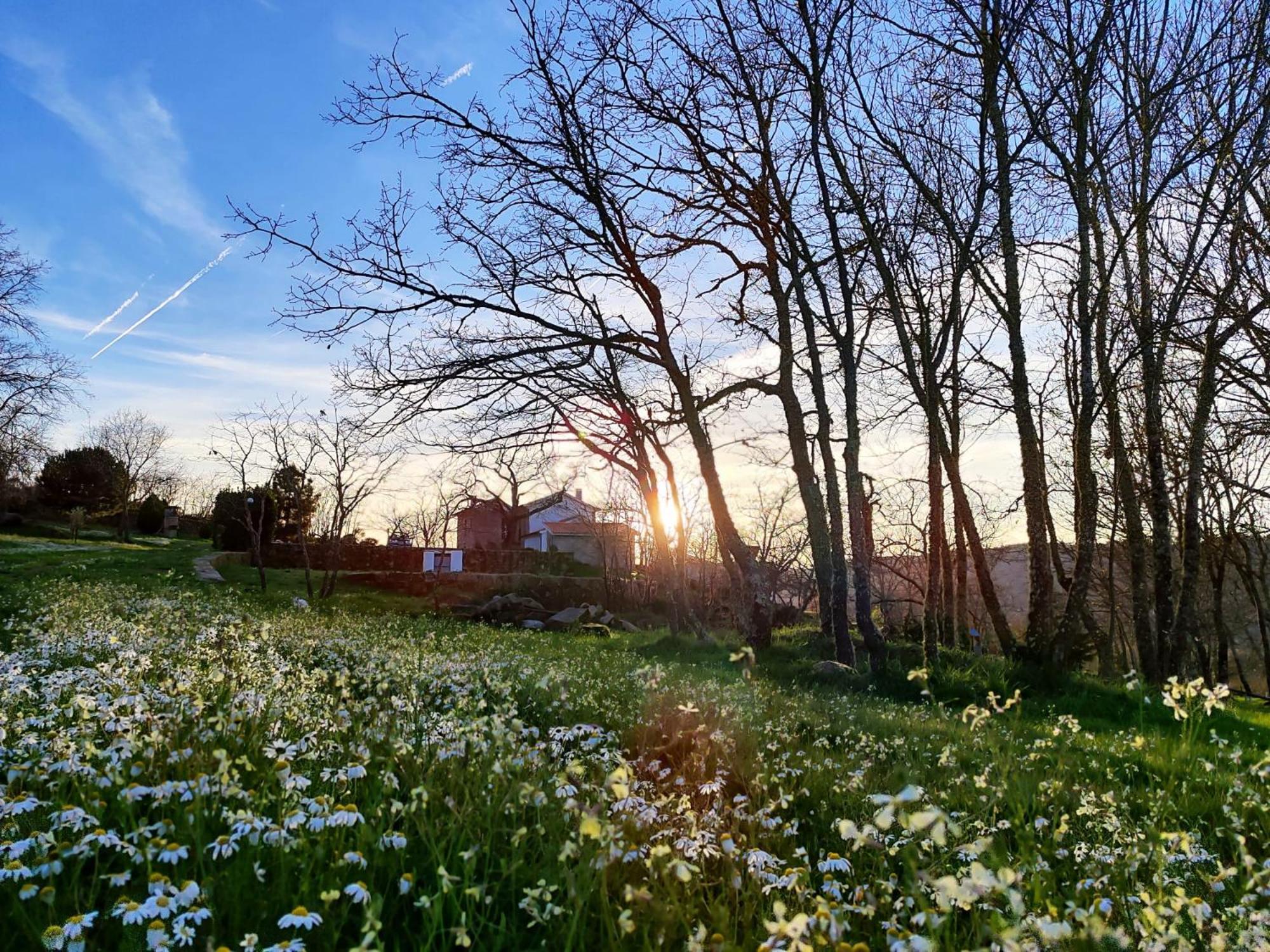 Quinta Dos Carvalhais - Serra Da Estrela Fornos de Algodres Exterior foto