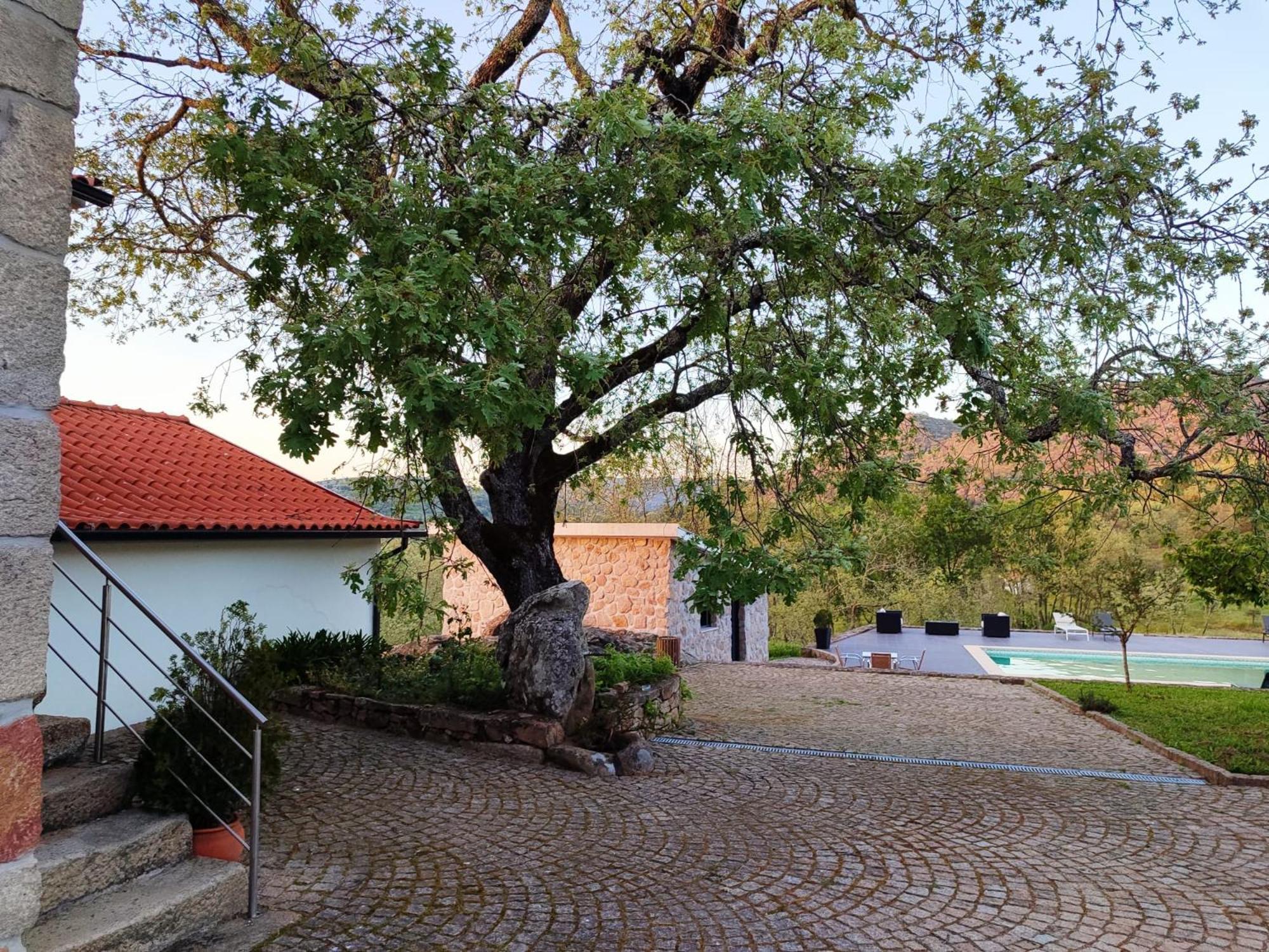 Quinta Dos Carvalhais - Serra Da Estrela Fornos de Algodres Exterior foto
